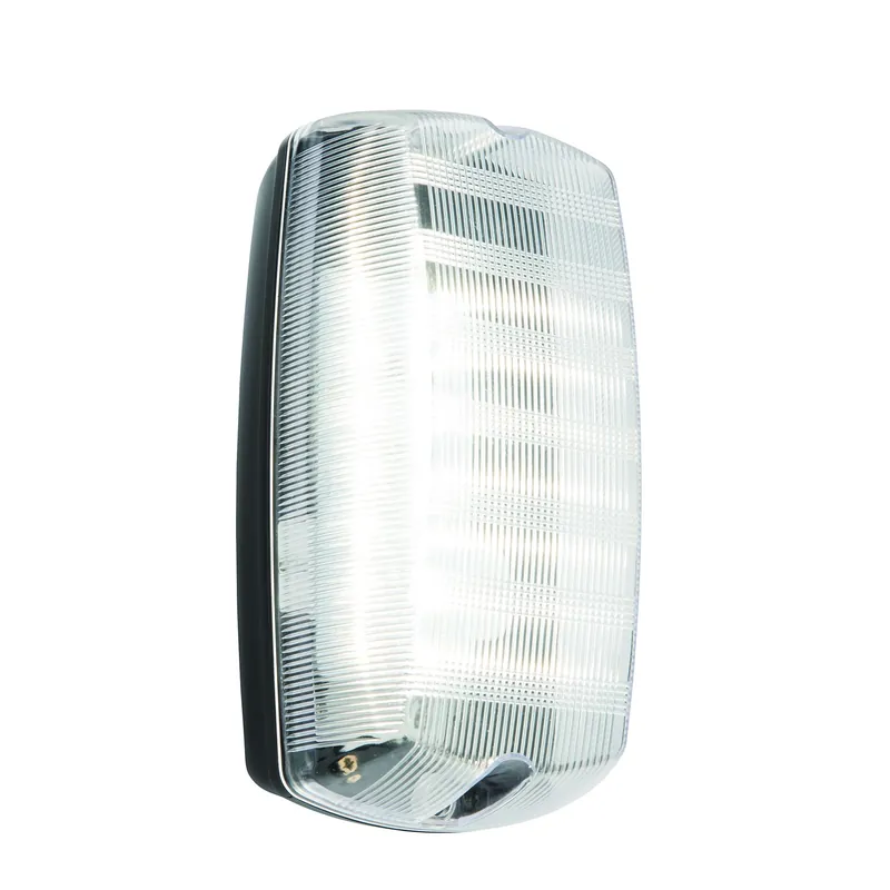 Legnépszerűbb Fali lámpa AVIT 91238 4000K 10W/LED 1000LM IP65 a Endon-tól