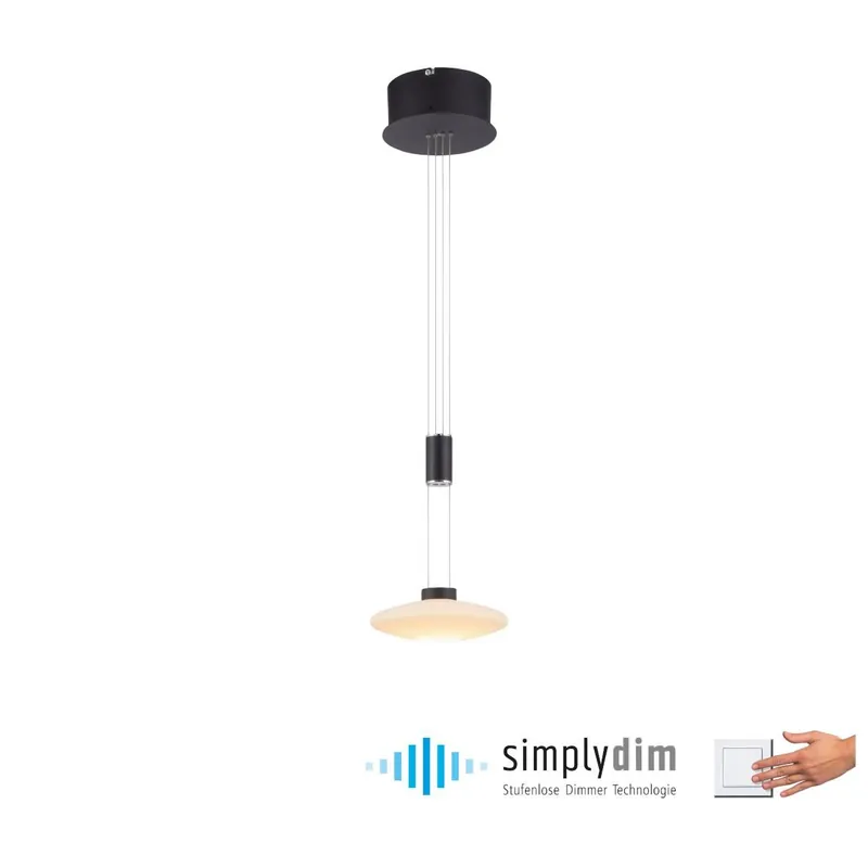 Függőlámpa LAUTADA 2080-18 3000K 1x7,5W/LED 600LM IP20 a Paul Neuhaus-tól Végkiárusítás